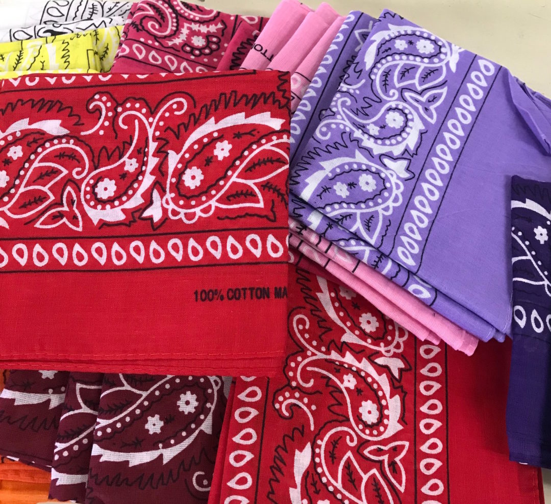 Cotton Bandana Tucson Thrift Shop